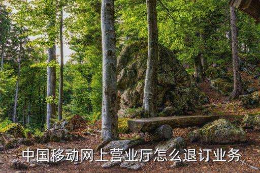 中國移動怎么撤單,移動用戶退訂業(yè)務(wù)步驟如下；
