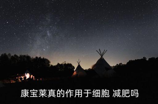 康寶萊減肥怎么提成,一見(jiàn)過(guò)就知道!減肥不是運(yùn)動(dòng)，是心理問(wèn)題