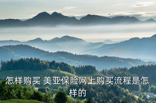美亞保險怎么報險,春運如何購買保險?可在線投保、索賠