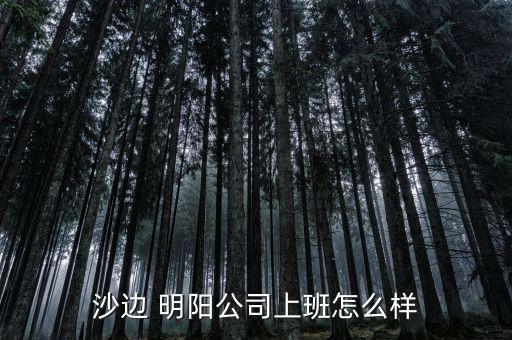 明陽風(fēng)電怎么樣,中山明陽和華帝是中國(guó)民營(yíng)企業(yè)的龍頭兄弟