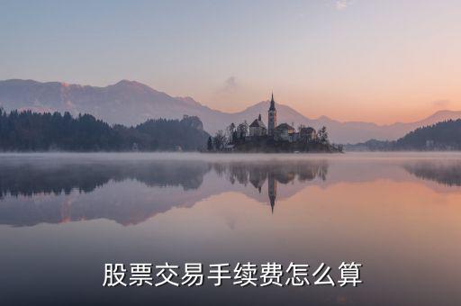 買(mǎi)股票費(fèi)用怎么算,股票交易費(fèi)用包括手續(xù)費(fèi)、過(guò)戶費(fèi)和傭金