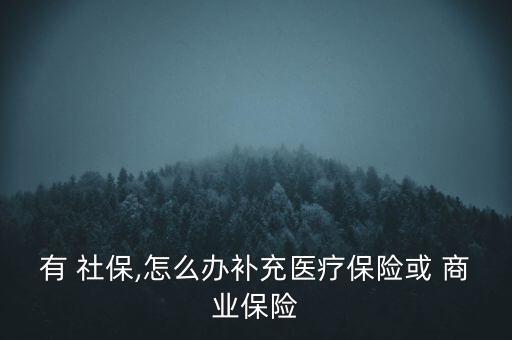 有 社保,怎么辦補(bǔ)充醫(yī)療保險或 商業(yè)保險