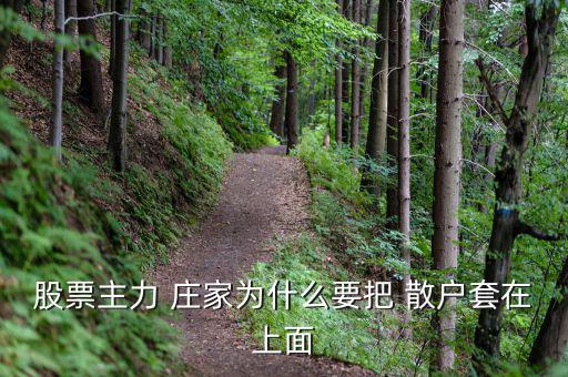 股票主力 莊家為什么要把 散戶(hù)套在上面