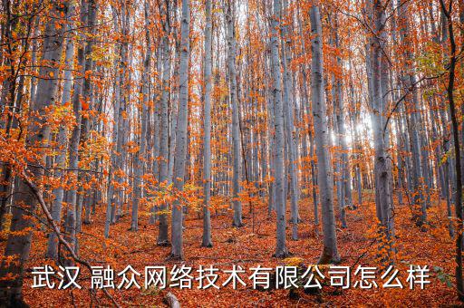 武漢 融眾網(wǎng)絡技術有限公司怎么樣