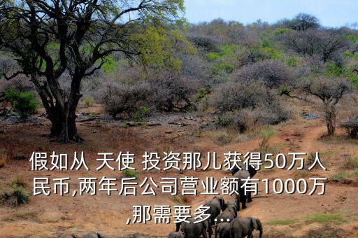 天使投資怎么獲得回報,天使投資回報不是以營業(yè)額計(jì)算
