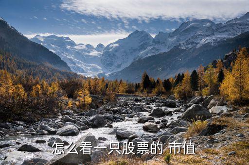 通達(dá)信怎么看總市值,如何查看分時(shí)k線(xiàn)圖?