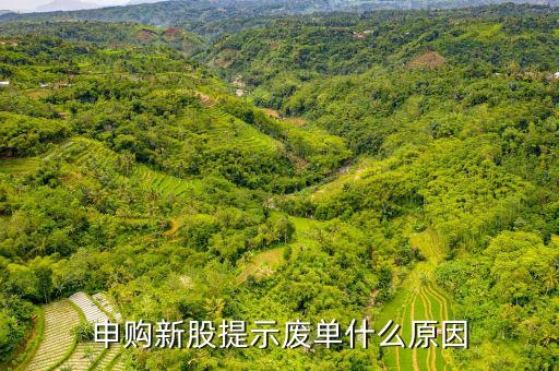 新股申購為什么是廢單，定價申購新股為什么總提示是廢單