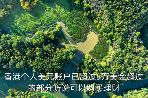 美元在香港投資什么比較好，香港個人美元賬戶已超過5萬美金超過的部分聽說可以購買理財