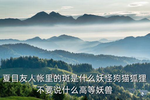 什么是棄風(fēng)限電，什么是理想非極化電極