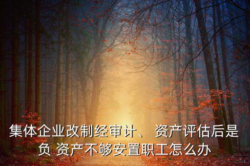 集體企業(yè)改制經(jīng)審計(jì)、 資產(chǎn)評(píng)估后是負(fù) 資產(chǎn)不夠安置職工怎么辦