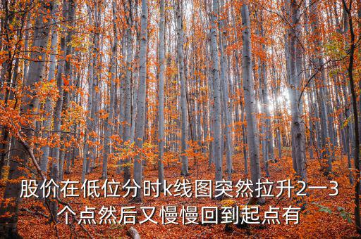 低位反彈之后加速拉升什么情況，股價在低位分時k線圖突然拉升2一3個點然后又慢慢回到起點有