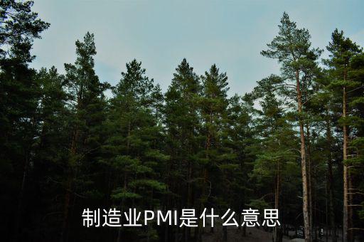 什么是pmi，制造業(yè)PMI是什么意思
