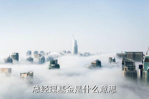 什么是董事長基金，大成基金會董事長是誰呀