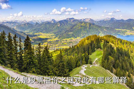 股票溢價是什么意思，什么是股票溢價之謎對此有哪些解釋