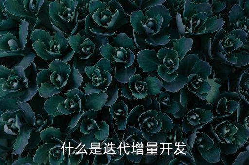 什么是增量發(fā)展，物理意義上的增量是什么意思
