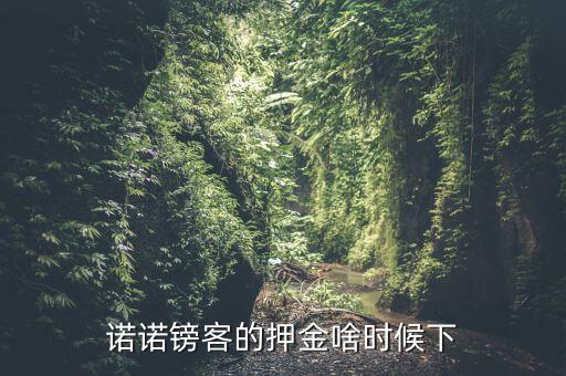 諾諾鎊客里的收本金額是什么，諾諾鎊客的押金啥時(shí)候下