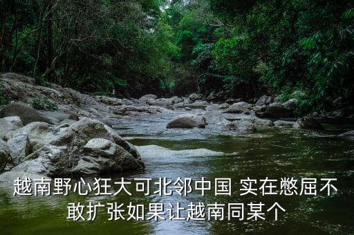 越南為什么那么狂，越南野心狂大可北鄰中國 實(shí)在憋屈不敢擴(kuò)張如果讓越南同某個(gè)
