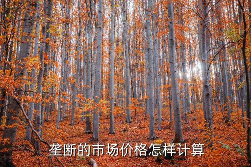 怎么算壟斷,壟斷利潤主要通過壟斷機(jī)構(gòu)設(shè)定價格來實(shí)現(xiàn)