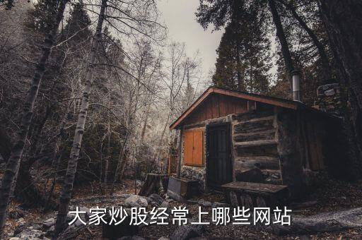 看股票都上什么網站，請問常用的網上交易股票的網站有那些