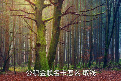  公積金聯名卡怎么 取錢