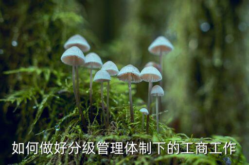 什么是分層分級管理，如何做好分級管理體制下的工商工作