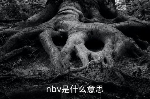 保險(xiǎn)nbv是什么意思，nbv是什么意思