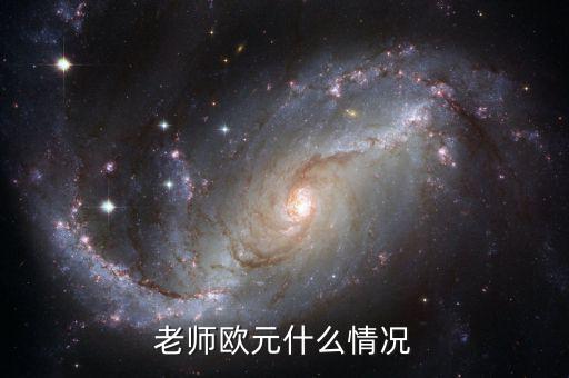 歐元國(guó)家是什么意思，老師歐元什么情況