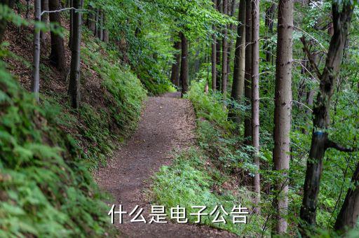 什么是電子公告，什么叫電子公告