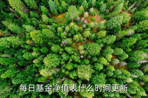 基金凈值什么時(shí)候更新，工商銀行網(wǎng)上銀行基金多長時(shí)間更新一次