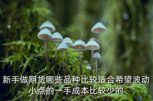 兩萬能做期貨什么品種，我用兩萬做商品期貨