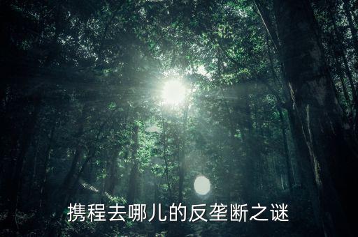 梁建章為什么離開攜程，攜程老板梁建章對公司的投訴難道只會說抱歉嗎這簡直有死