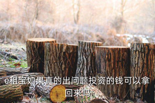 e租寶注冊有什么風險，朋友讓我給他注冊個e租包賬號安全嗎
