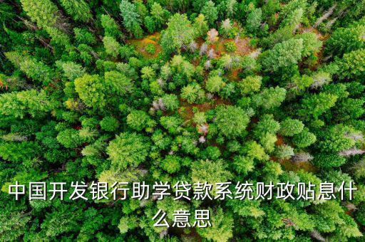 中國開發(fā)銀行助學貸款系統(tǒng)財政貼息什么意思