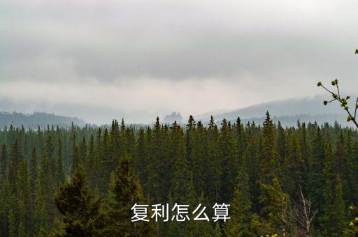 復(fù)利在實(shí)際中怎么操作,復(fù)利終值公式可計算不同年份實(shí)際價值