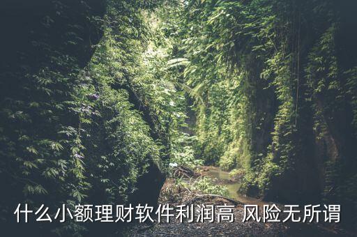 什么小額理財(cái)最安全，什么小額理財(cái)軟件利潤高 風(fēng)險(xiǎn)無所謂