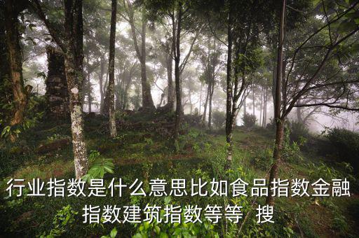 申萬(wàn)行業(yè)指數(shù)是什么，申萬(wàn)證券行業(yè)指數(shù)分級(jí)是什么指數(shù)基金嗎