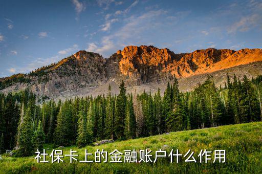 金融賬戶的作用是什么，社?？ǖ慕鹑谫~戶有什么用