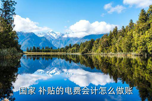 收到購(gòu)買電機(jī)補(bǔ)貼怎么入賬,電費(fèi)補(bǔ)貼how入賬三個(gè)問(wèn)題請(qǐng)稍等