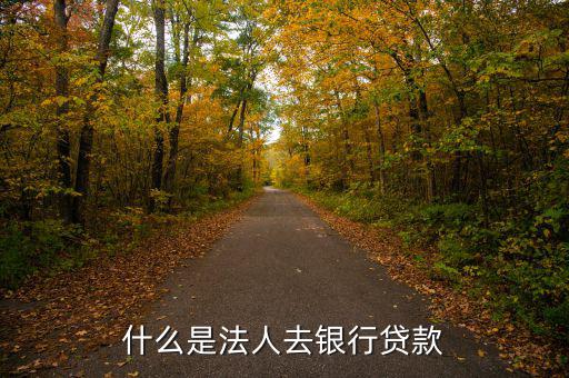 什么是法人銀行，中國(guó)農(nóng)業(yè)銀行是什么法人