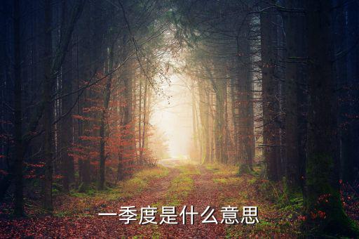 每一季度是什么意思，每季度什么意思
