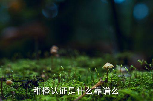 甜橙金融公司是什么，便捷的網(wǎng)貸理財(cái)企業(yè)是什么