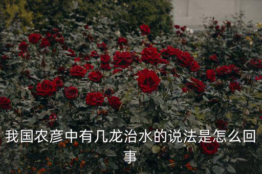 三龍治水是什么意思，幾屠共豬 幾龍治水做何解