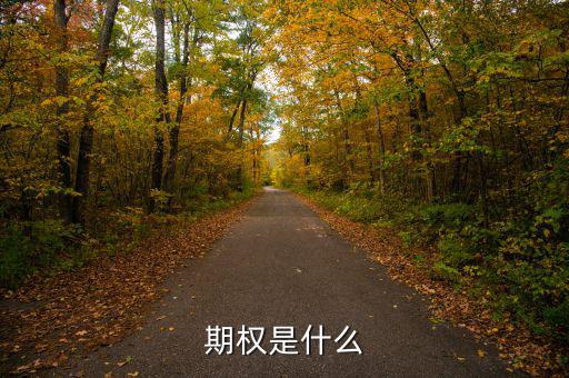 股票期權(quán)是什么，期權(quán)和股權(quán)有什么本質(zhì)區(qū)別嗎
