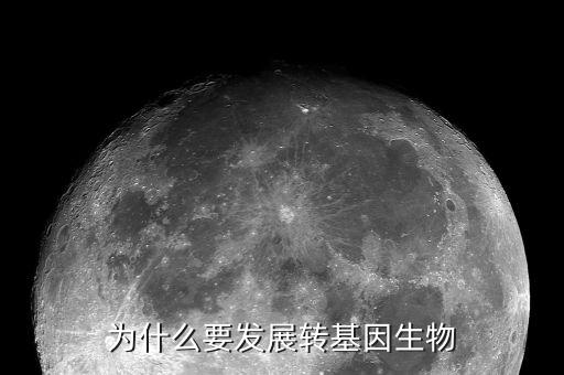 為什么要發(fā)展轉(zhuǎn)基因技術(shù)，中國(guó)為什么需要發(fā)展轉(zhuǎn)基因食品行業(yè)