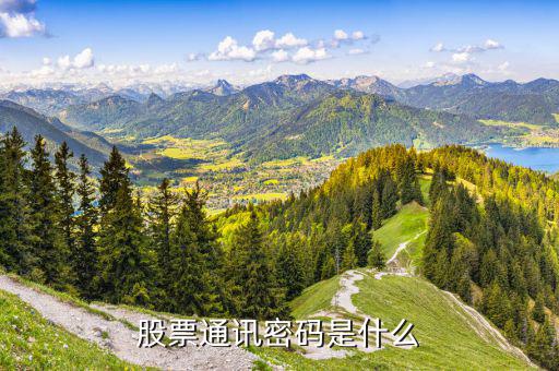 財(cái)富證券通訊密碼是什么，證券里面的通訊密碼是什么意思