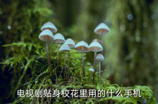 電視劇貼身?；ɡ镉玫氖裁词謾C