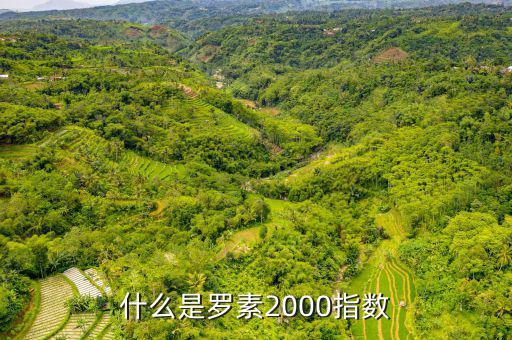 平安羅素是什么，平安epass是什么東西