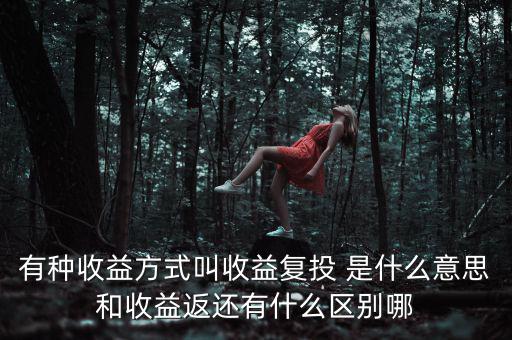 按月復(fù)投是什么意思，本息復(fù)投是什么意思