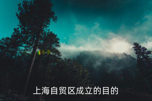 為什么建立上海自貿(mào)區(qū)，上海自貿(mào)區(qū)成立的目的