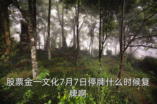 金一文化什么時(shí)候復(fù)牌，股票金一文化7月7日停牌什么時(shí)候復(fù)牌啊